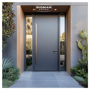 Puerta pivotante de metal pesado estilo minimalista