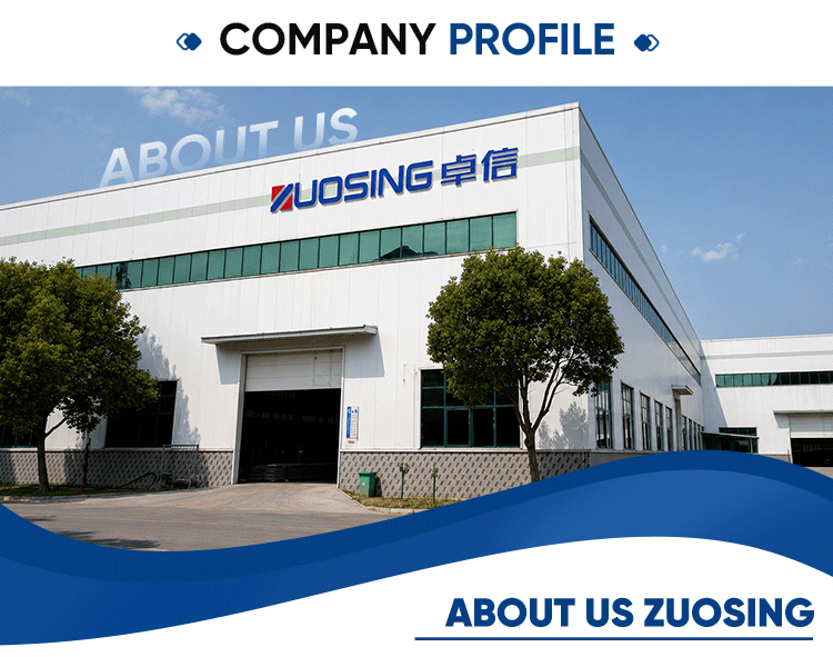 Visión general de la empresa ZUOSING
